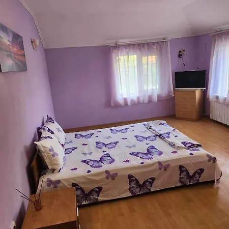 Iveta